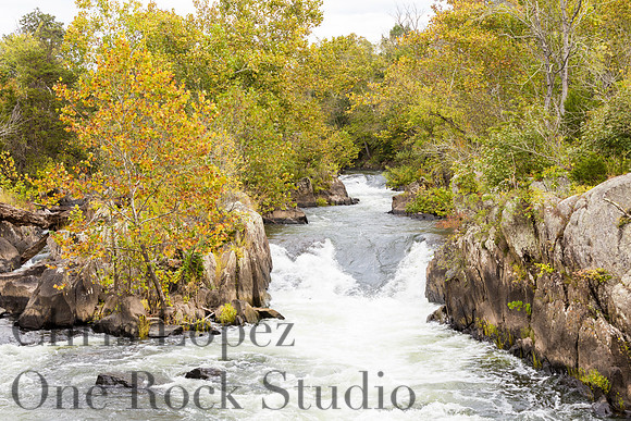 Great Falls 2016-8577.jpg