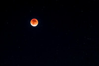 IMG_9963.jpg