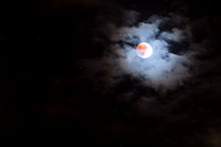 IMG_9880.jpg