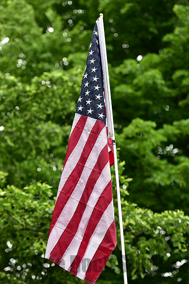 DSC_9152